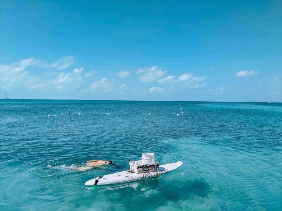 Vacation Home Blue Lotus كاي كولكر المظهر الخارجي الصورة